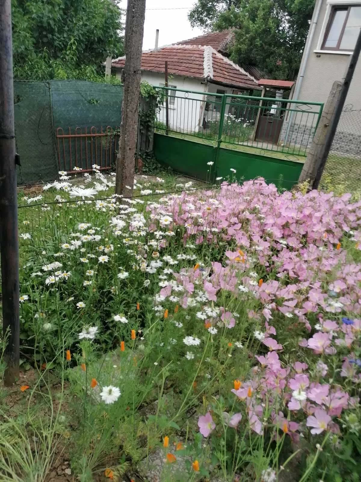 Balyvitsa Köyünde İki Ev Satılıyor