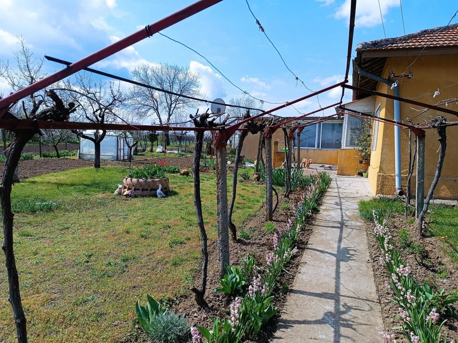 Bahçeli Ev, Sitovo Köyü, Silistra