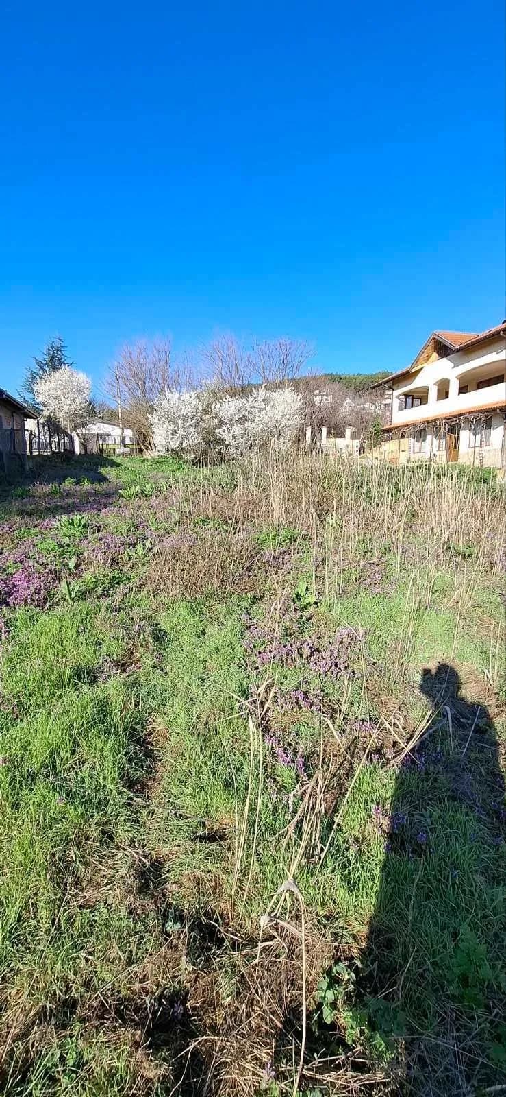 Balçık, Rogaçevo Köyünde Satılık Arsa