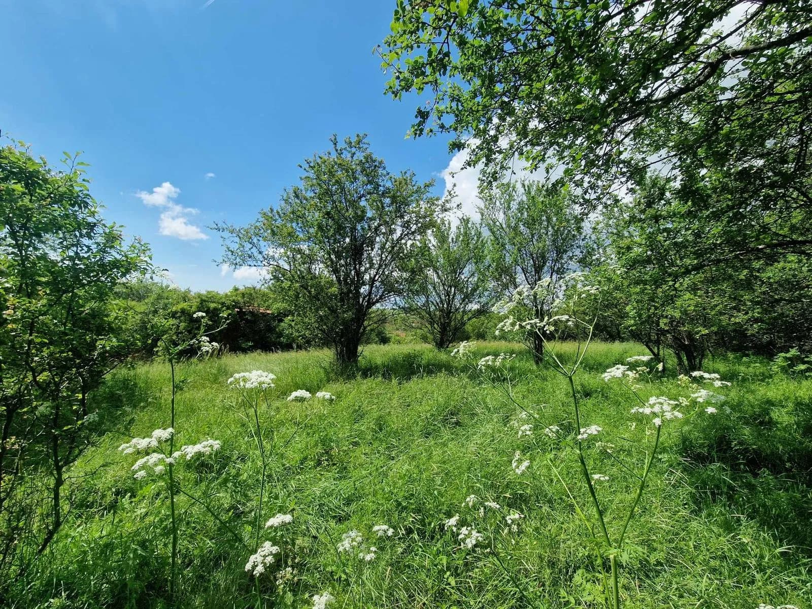 Ponor Köyünde 960 m² İmarlı Arsa