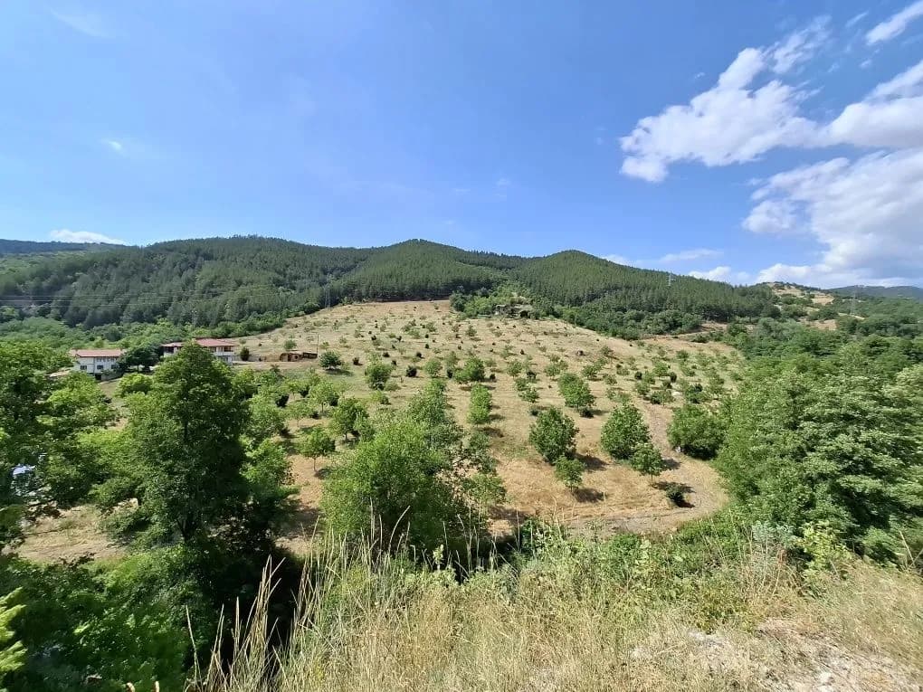 Ceviz Bahçesi Yatırım Arsayı