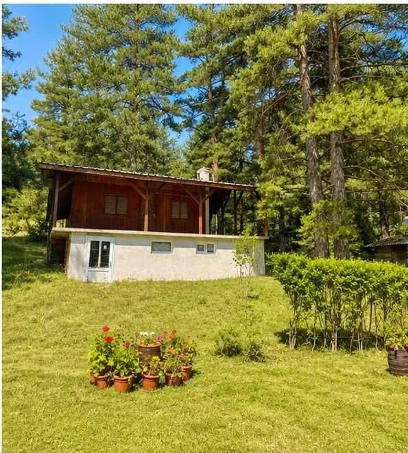 Sahibinin Satışı - Çigov Çark'ta Orman İçinde 300 m² Arsalı Villa