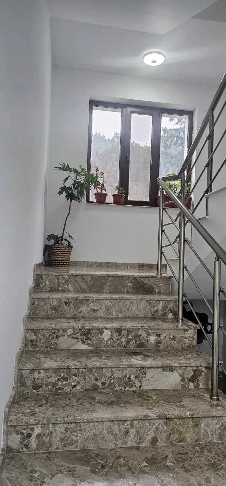 Yeni Üç Odalı Daire