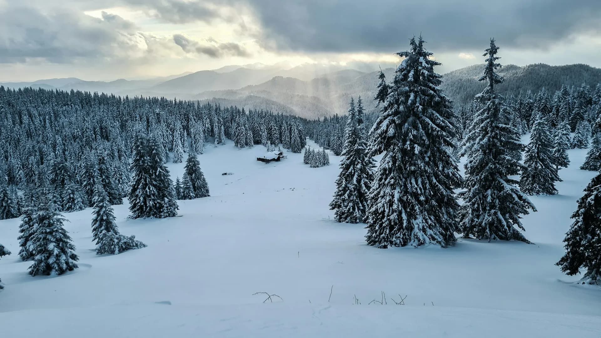 PAMPOROVO