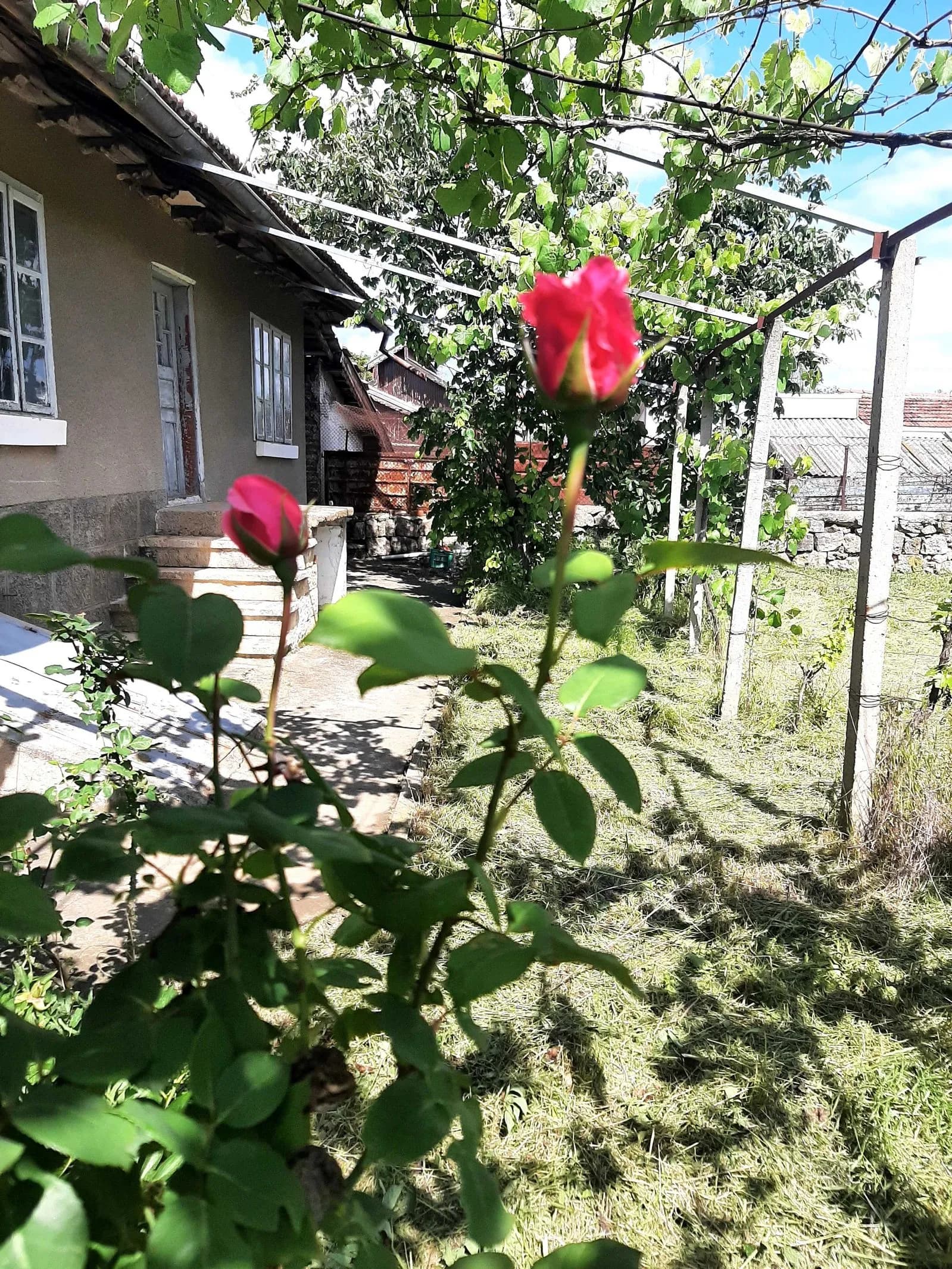 Ştrăklevo Köyünde Ev